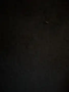 Sirschwanz69 online show from March 24, 12:05 am