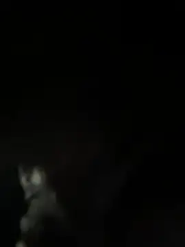 viraj malhotra online show from February 4, 8:42 am