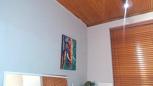 Teo dantex online show from February 3, 2:53 am