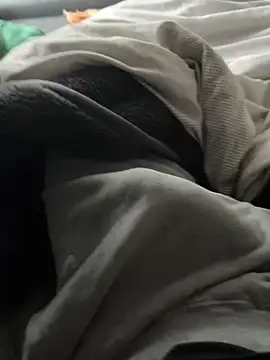 Prinz18cm online show from February 19, 10:23 am