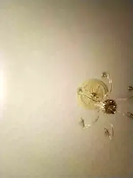 ficos2 online show from February 1, 11:58 pm