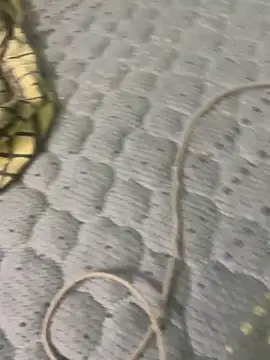 Telugu cum boy online show from February 2, 7:07 am