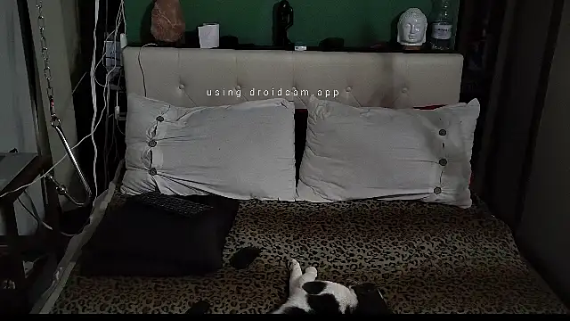 MarcoRoma313 online show from March 12, 2:47 pm