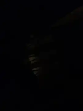 Callmedaddy9 online show from March 4, 2:40 am