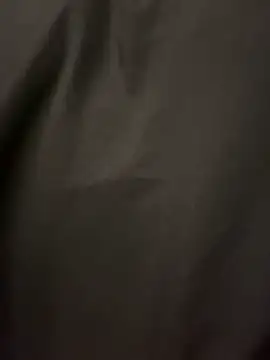 dodger152019 online show from February 2, 2:25 pm