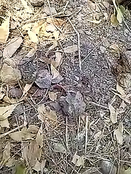 Cute Boy 4 online show from April 27, 7:49 am