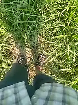 Cute Boy 4 online show from February 22, 5:31 am