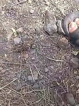 Cute Boy 4 online show from March 19, 7:44 am