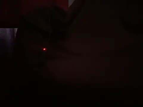 vexahleah online show from June 10, 7:58 pm