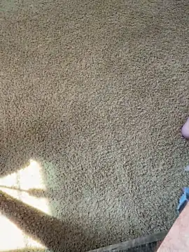 bwcjay2026 online show from March 16, 6:34 pm