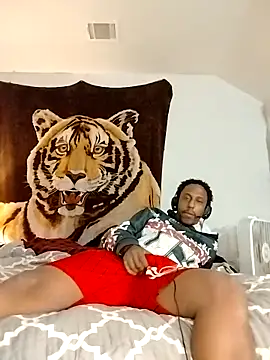 allenray2618 online show from February 3, 5:38 am