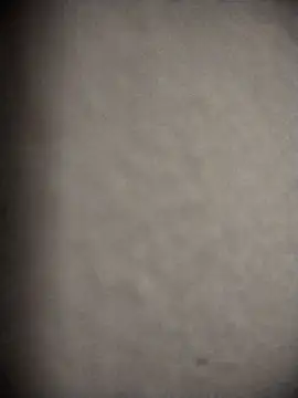 nicol5555 online show from February 9, 10:47 pm