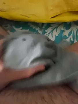 birzevkmeselesi online show from February 10, 8:57 pm