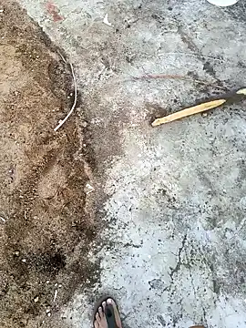 Castrol1289 online show from March 3, 11:50 am