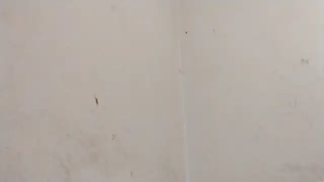 MisterSnowww online show from March 6, 9:56 pm