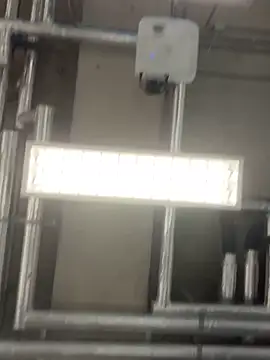 simonshulker online show from February 3, 1:16 pm