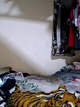 polla large active online show from April 16, 4:29 pm