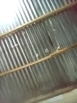 king tujar online show from February 6, 3:25 am