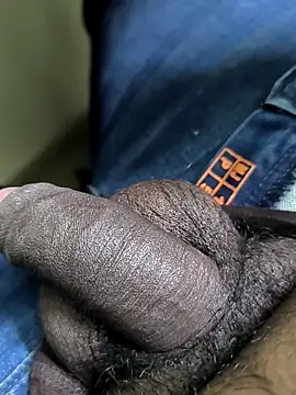 Tamil Bulll online show from February 8, 9:30 pm