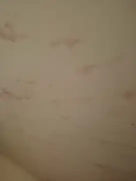 dickyk50 online show from February 9, 3:44 am