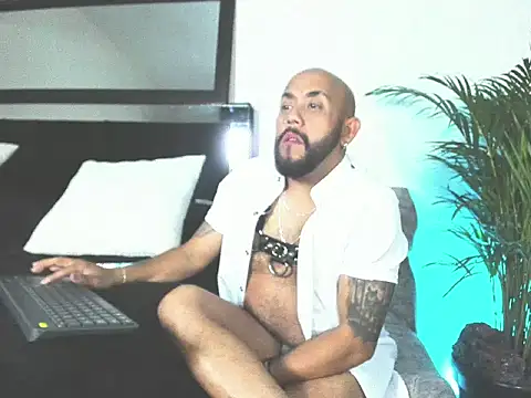 King bear 25 online show from February 26, 1:51 am