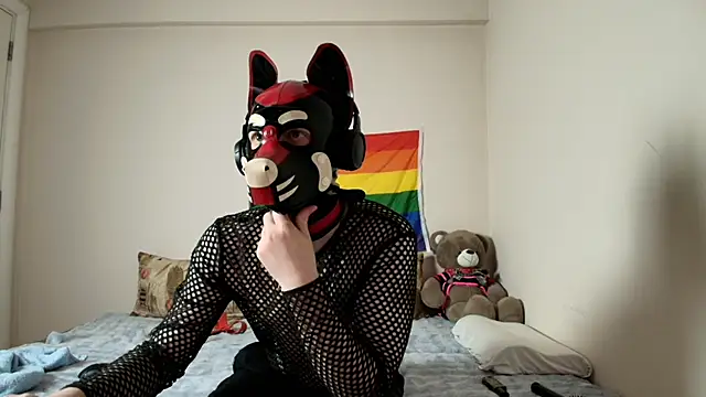 K9 GoodBoy online show from April 9, 5:52 pm