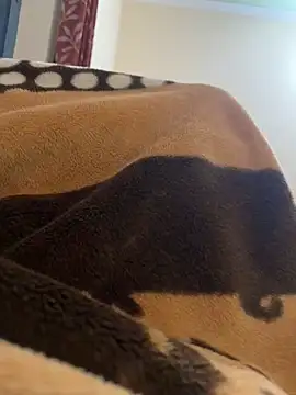 youngboywithcurvymilf online show from March 3, 3:30 pm