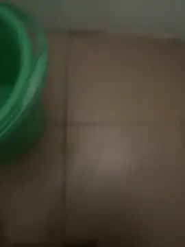 neekosam12 online show from February 19, 4:47 pm