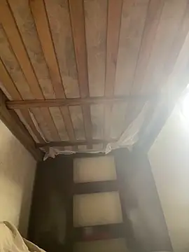 Leaohennr online show from February 20, 6:21 pm