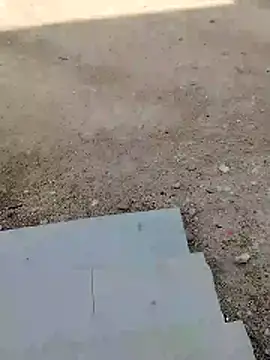 blackbeauty321 online show from May 1, 4:16 am
