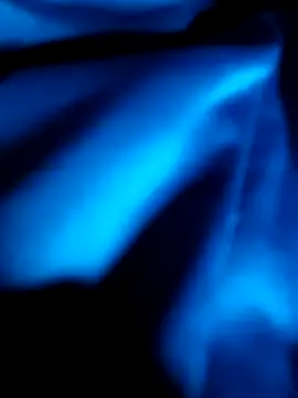 AppleMiel online show from March 8, 3:10 am