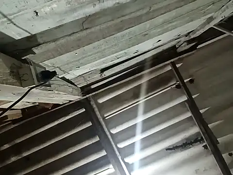 Mullinggri online show from March 18, 4:04 am