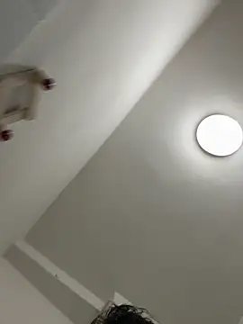 frociobisex01 online show from February 24, 1:18 am