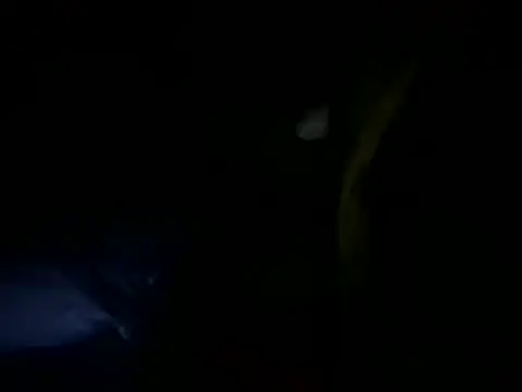 MahmudTheBator online show from April 10, 12:28 am