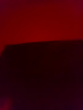 dicksa650 online show from April 8, 4:38 pm