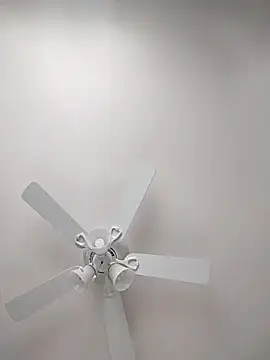 32666damon online show from March 21, 11:09 pm