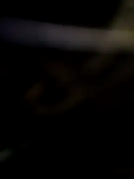 akklfbbdb online show from March 12, 8:44 am