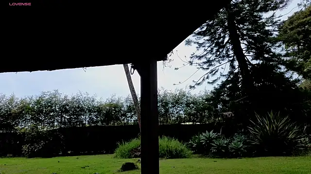 DilanAndres online show from April 29, 3:17 pm