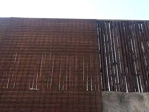 luckydick333 online show from March 15, 10:27 pm