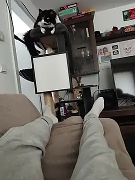 Bennygerner1991 online show from March 26, 8:18 am