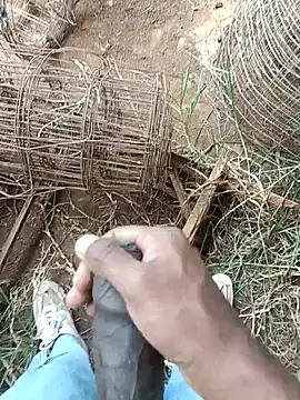 sanju 5418 online show from April 18, 7:21 am