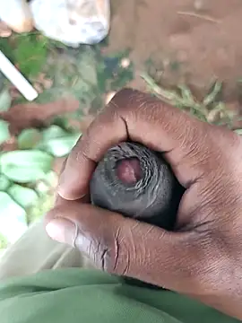 sanju 5418 online show from April 6, 7:09 am