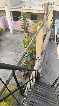 xyz 2giT online show from March 18, 12:41 pm