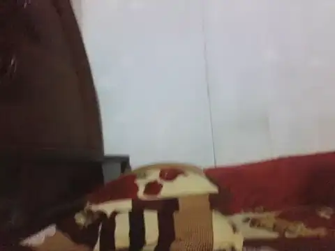 koushik10 online show from April 25, 3:42 pm