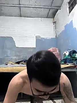 cactoto online show from March 23, 5:08 pm