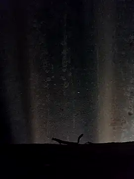 leitan01 online show from March 21, 12:31 pm