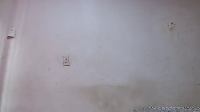 pircohg online show from June 2, 1:56 pm