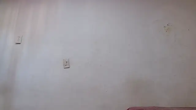 pircohg online show from April 22, 6:01 pm