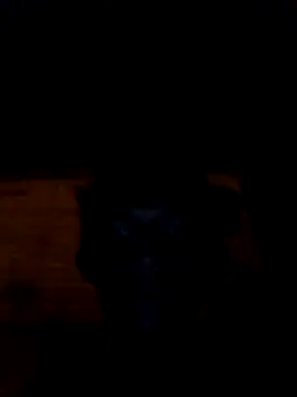 tuchokolatit0 online show from April 8, 4:02 am