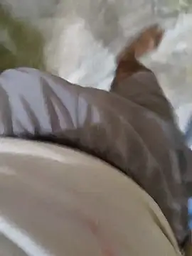 Shubhprit online show from April 22, 4:30 am